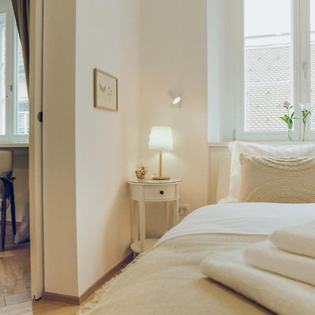 Stylish Apartment In Historical Center 卢布尔雅那 外观 照片