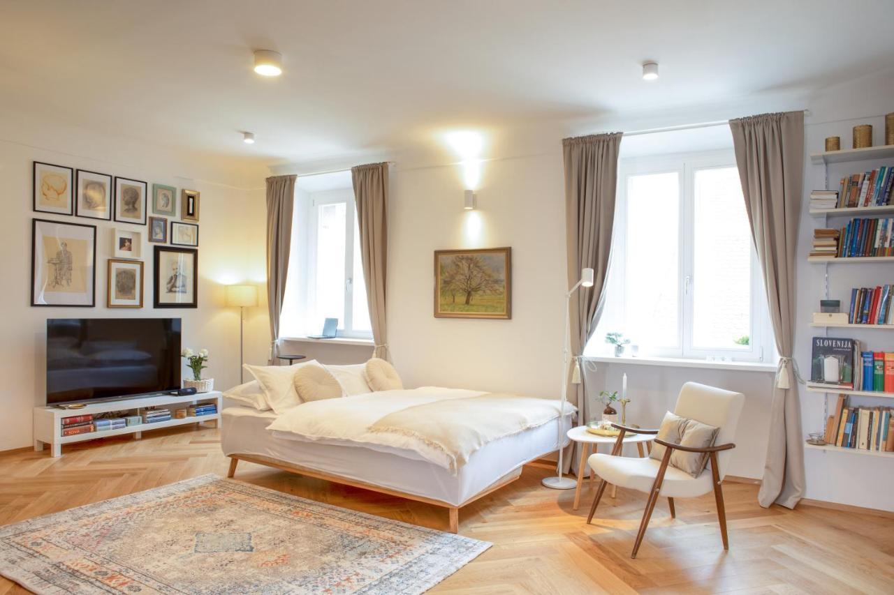 Stylish Apartment In Historical Center 卢布尔雅那 外观 照片